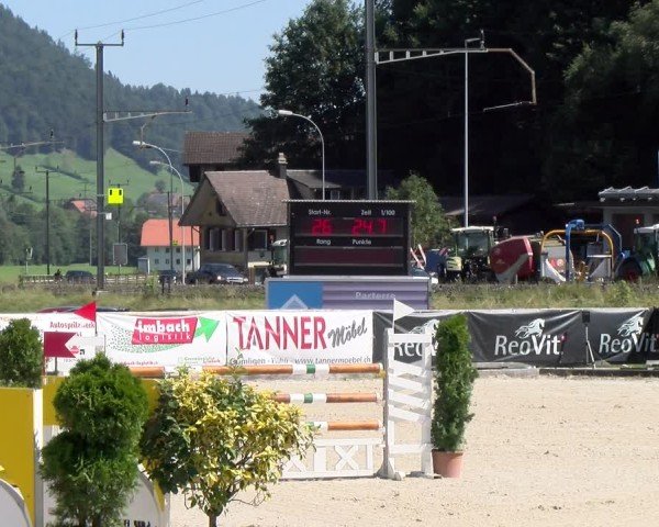 Reitturnier Schüpfheim 2024
