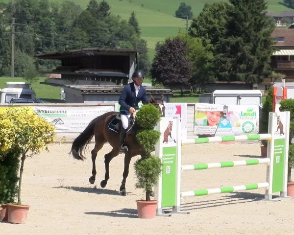Reitturnier Schüpfheim 2024
