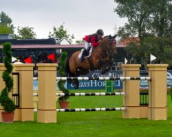 jumper van Dejk (KWPN (Royal Dutch Sporthorse), 2006, from Verdi)