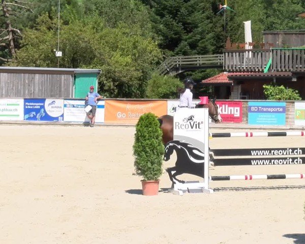 Reitturnier Schüpfheim 2024