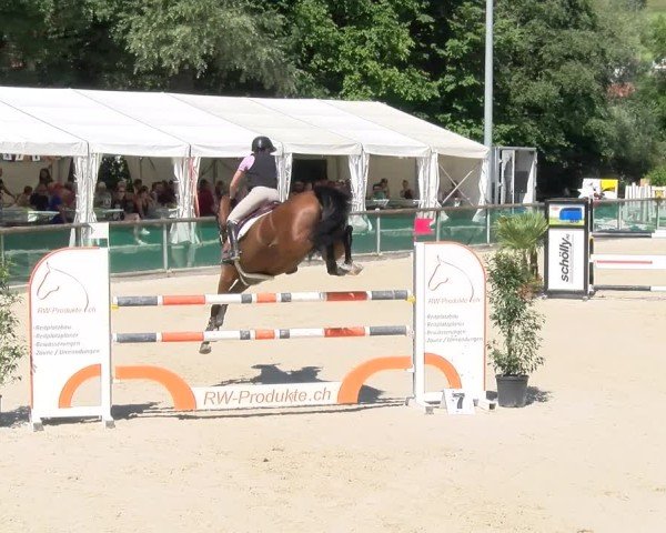 Reitturnier Schüpfheim 2024
