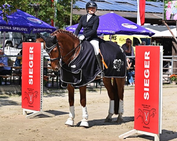 dressage horse Finest Golden Dancer (Westphalian, 2017, from Franziskus FRH)