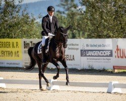 dressage horse Quaterbillion (Oldenburg, 2018, from Quaterhall)