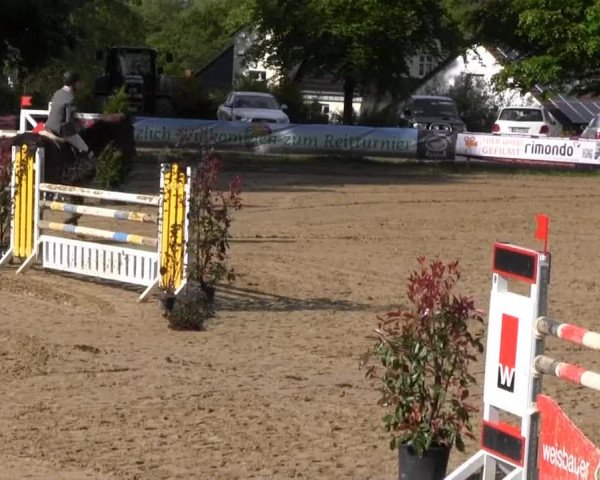 Iserlohn-Kalthof 2013