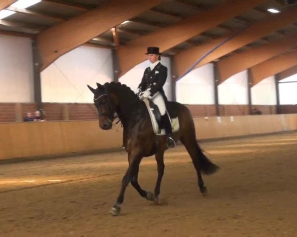 Iserlohn-Kalthof 2013