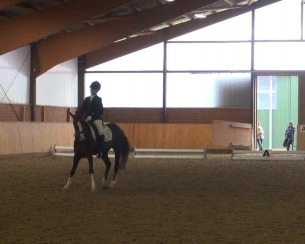 Iserlohn-Kalthof 2013