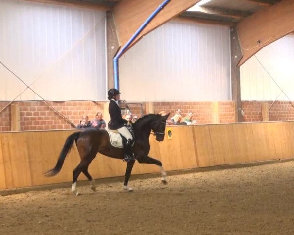 Iserlohn-Kalthof 2013