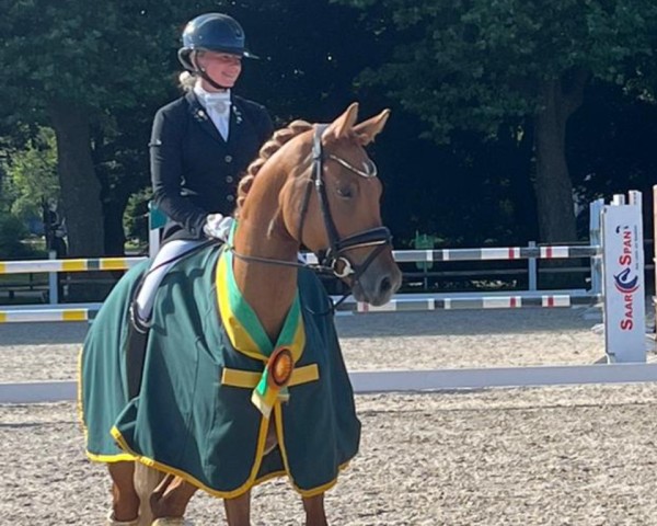 Dressurpferd DSP Goldschatz (Deutsches Reitpony, 2021, von Genesis BL)