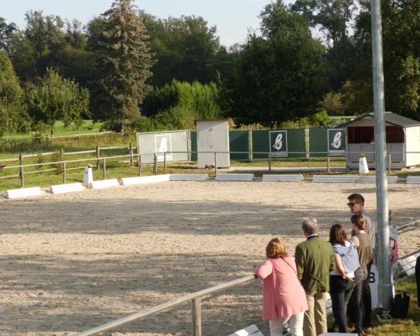 Reitturnier Köngen 2024