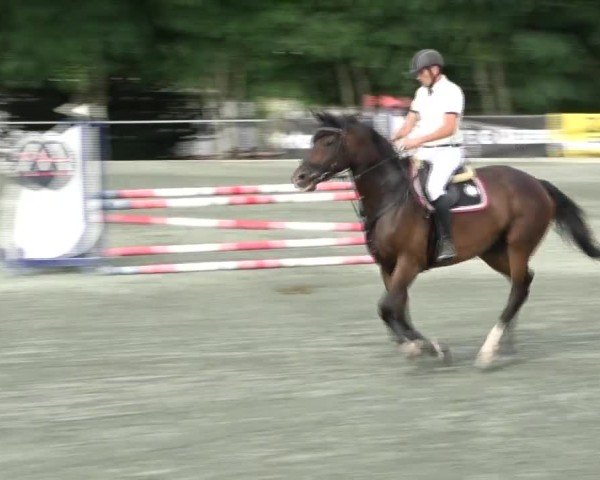 Reitturnier Horitschon 2024