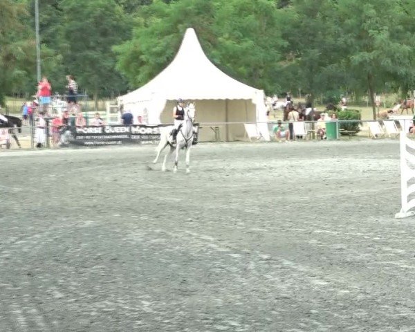 Reitturnier Horitschon 2024