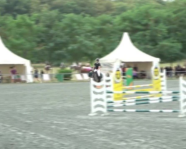 Reitturnier Horitschon 2024