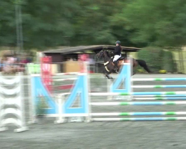 Reitturnier Horitschon 2024