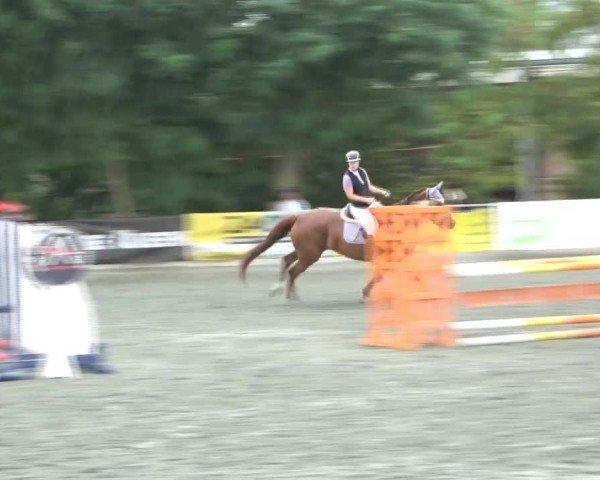 Reitturnier Horitschon 2024