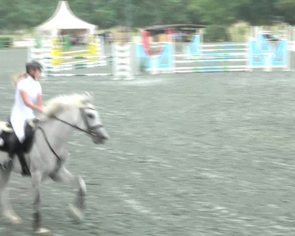 Reitturnier Horitschon 2024