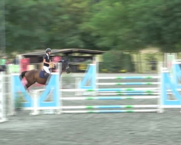 Reitturnier Horitschon 2024