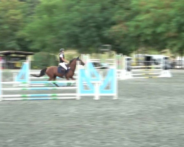 Reitturnier Horitschon 2024