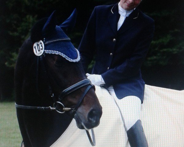 dressage horse Lancino 4 (Oldenburg, 1995, from Le Coeur)
