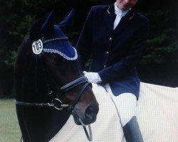 dressage horse Lancino 4 (Oldenburg, 1995, from Le Coeur)