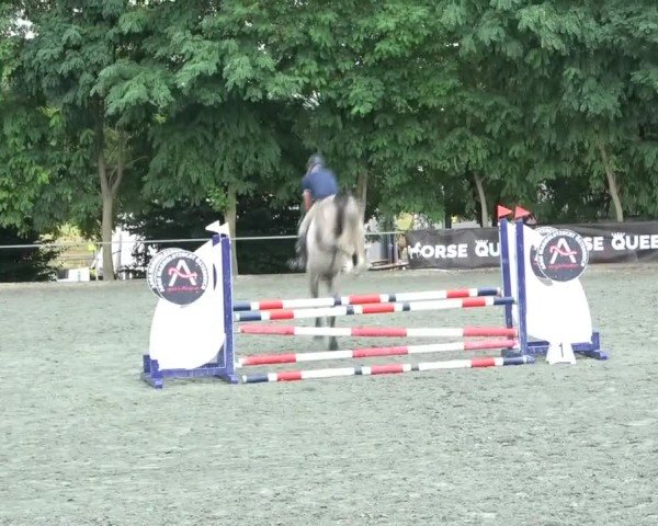 Reitturnier Horitschon 2024