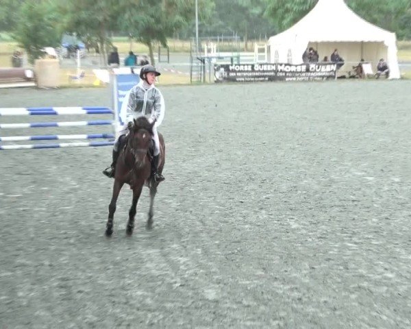 Reitturnier Horitschon 2024