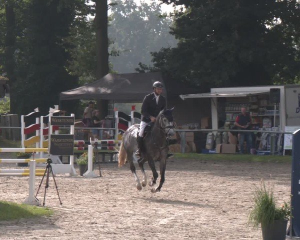Reitturnier Datteln 2024