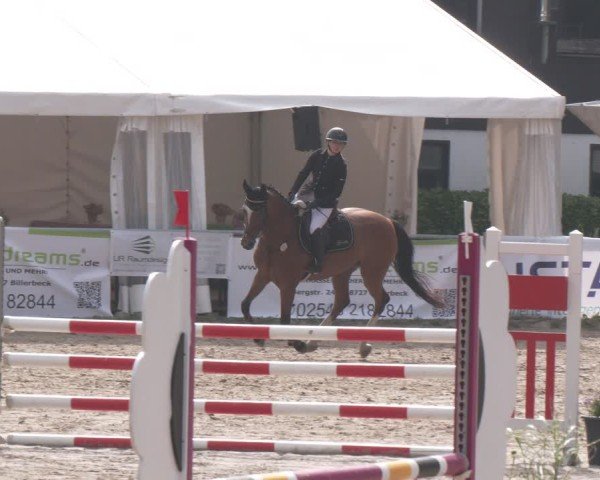 Reitturnier Datteln 2024