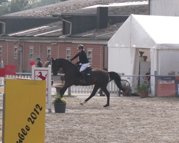 Reitturnier Datteln 2024