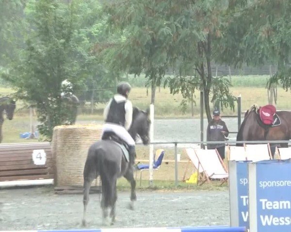Reitturnier Horitschon 2024