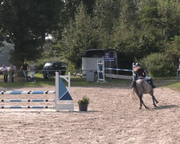 Reitturnier Datteln 2024
