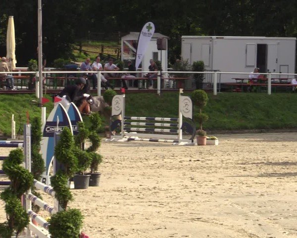 Reitturnier Bergisch Gladbach - Hebborner Hof 2024
