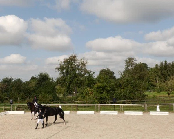Reitturnier Köngen 2024