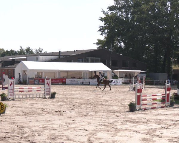 Reitturnier Datteln 2024