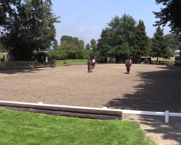 Reitturnier Datteln 2024