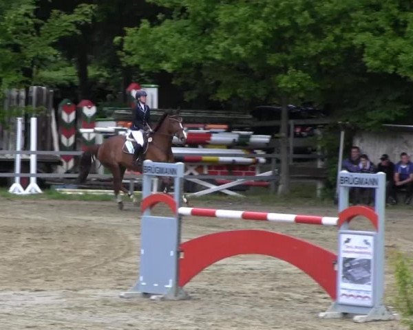 Iserlohn-Kalthof 2013