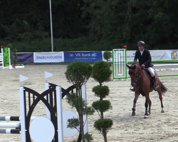 Reitturnier Bergisch Gladbach - Hebborner Hof 2024