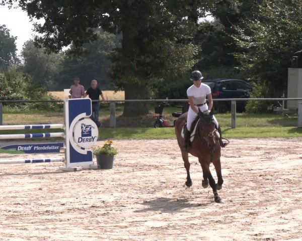 Reitturnier Datteln 2024