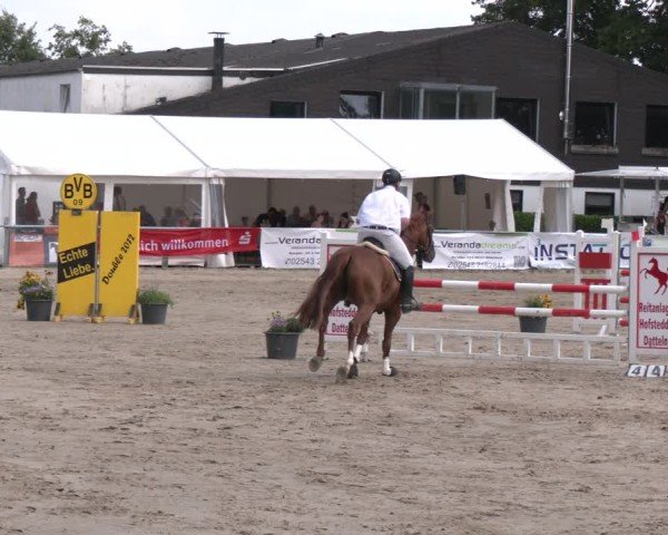 Reitturnier Datteln 2024