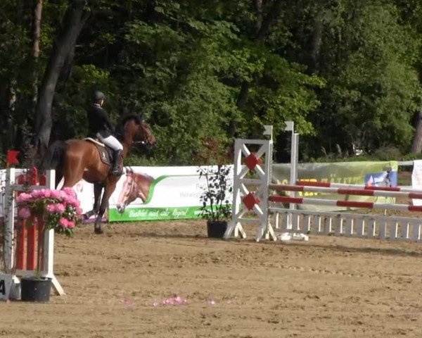 Iserlohn-Kalthof 2013