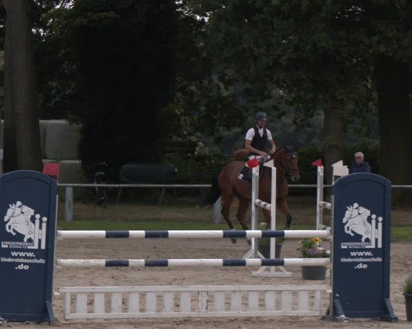 Reitturnier Datteln 2024