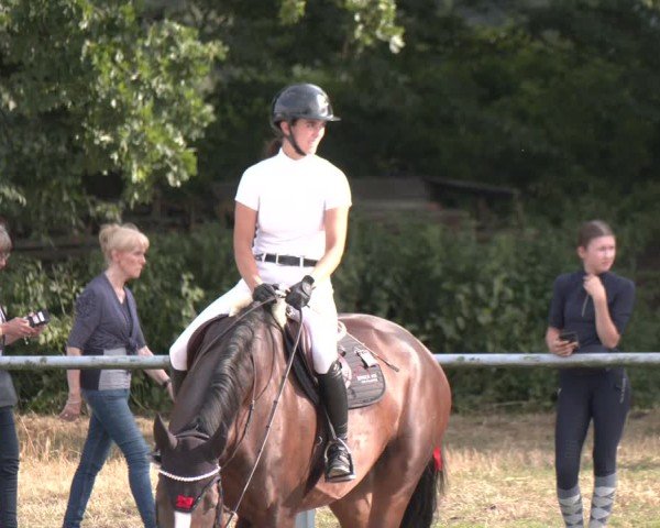 Reitturnier Datteln 2024