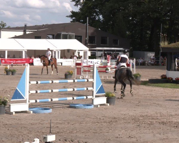Reitturnier Datteln 2024