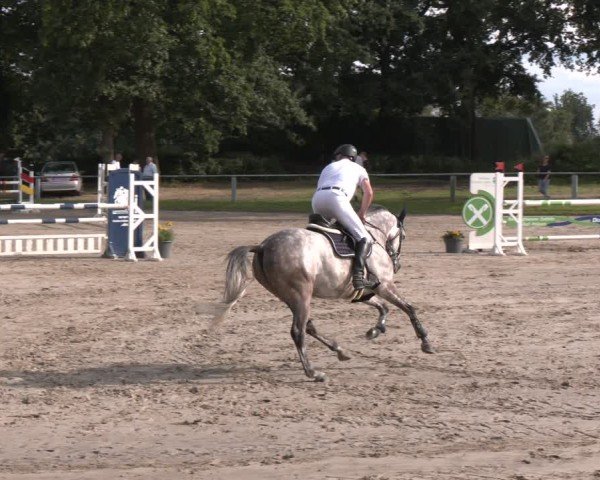 Reitturnier Datteln 2024