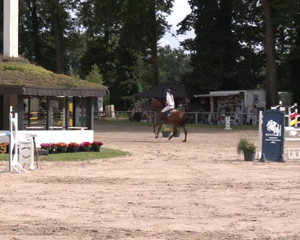 Reitturnier Datteln 2024