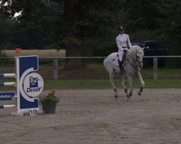 Reitturnier Datteln 2024