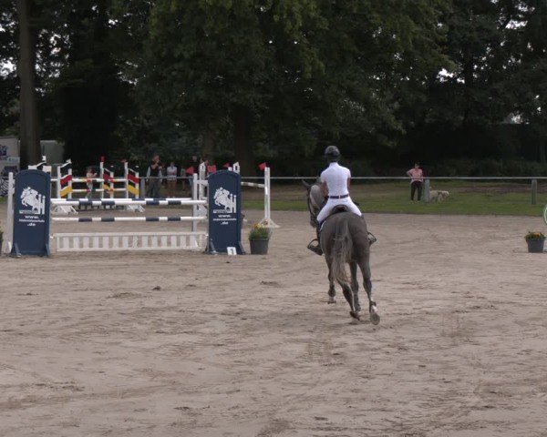 Reitturnier Datteln 2024