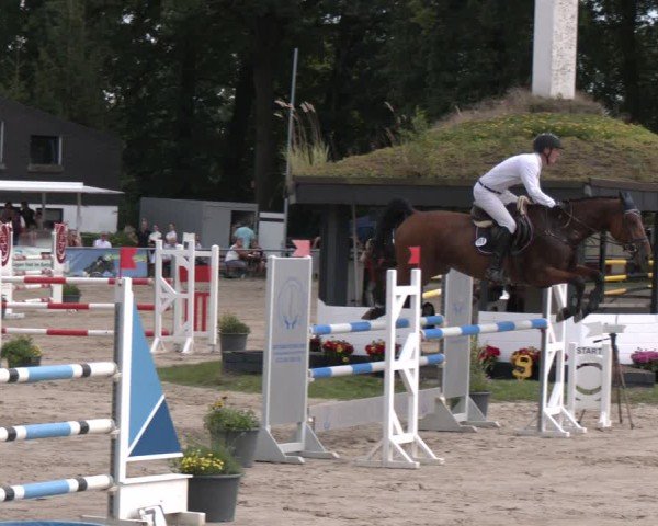 Reitturnier Datteln 2024