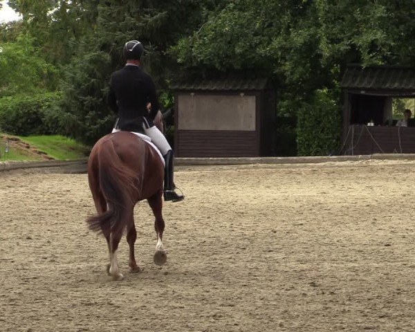 Reitturnier Datteln 2024