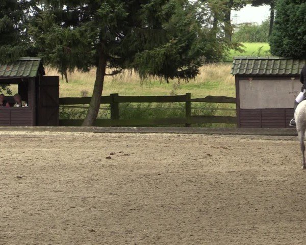 Reitturnier Datteln 2024