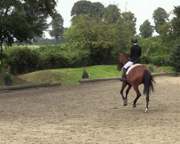 Reitturnier Datteln 2024